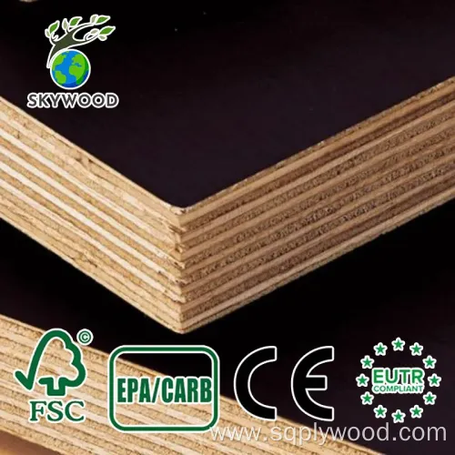 Waterproof Glossy Laminated Plywood Options